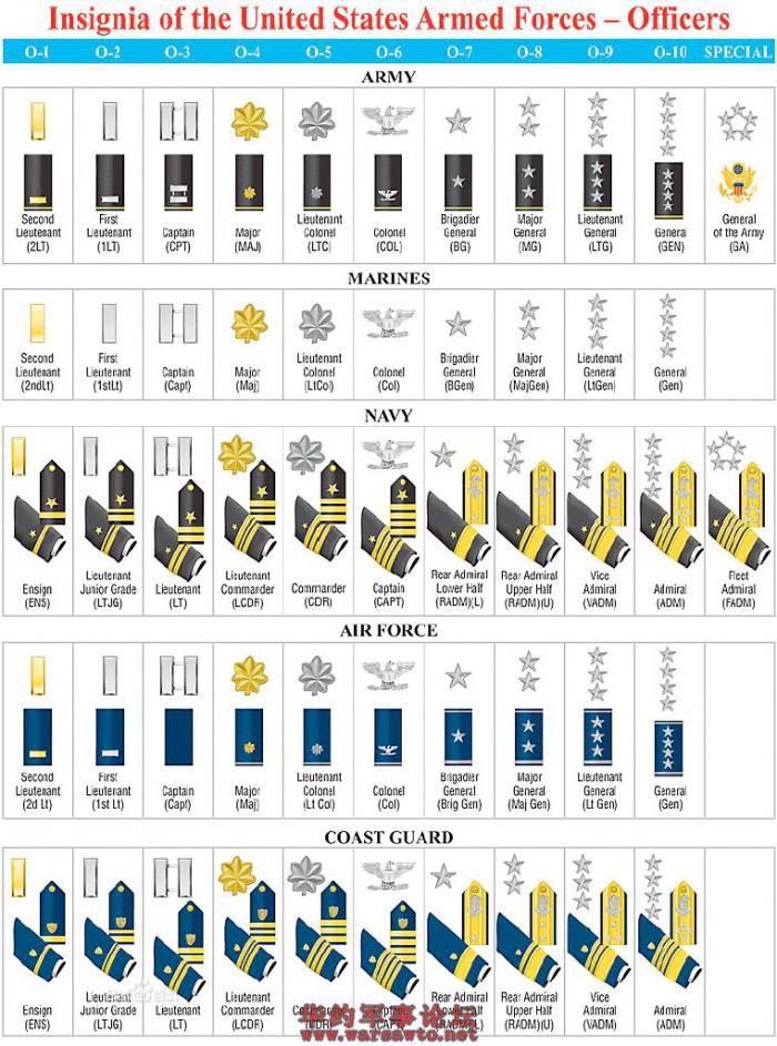 美国部队的军衔等级怎样划分?